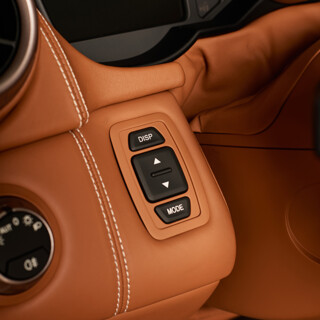 DISP/MODE Buttons And Trim